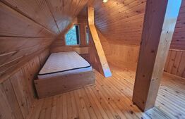 Casa de vacanta la munte cu 7 camere, 160 mp, Garda de Sus, Arieseni