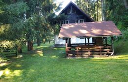 Casa de vacanta la munte cu 7 camere, 160 mp, Garda de Sus, Arieseni