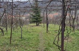 ROPRIETATE EXCLUSIVĂ DE VÂNZARE  – ZONĂ CENTRALĂ CUGIR