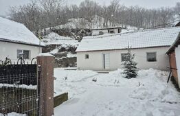 Casă de vânzare Vințu de Jos – 4 camere, teren intravilan 4.700 mp, renovată, mo