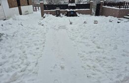 Casă de vânzare Vințu de Jos – 4 camere, teren intravilan 4.700 mp, renovată, mo