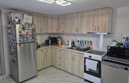 Casă de vânzare Vințu de Jos – 4 camere, teren intravilan 4.700 mp, renovată, mo