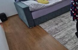 Casă de vânzare Vințu de Jos – 4 camere, teren intravilan 4.700 mp, renovată, mo