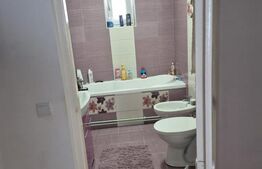 Casă de vânzare Vințu de Jos – 4 camere, teren intravilan 4.700 mp, renovată, mo