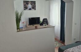 Casă de vânzare Vințu de Jos – 4 camere, teren intravilan 4.700 mp, renovată, mo