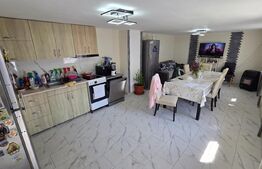 Casă de vânzare Vințu de Jos – 4 camere, teren intravilan 4.700 mp, renovată, mo