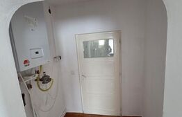 Casă de vânzare Vințu de Jos – 4 camere, teren intravilan 4.700 mp, renovată, mo