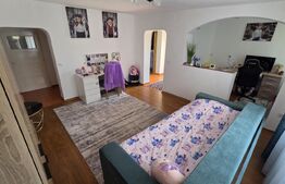 Casă de vânzare Vințu de Jos – 4 camere, teren intravilan 4.700 mp, renovată, mo