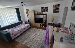 Casă de vânzare Vințu de Jos – 4 camere, teren intravilan 4.700 mp, renovată, mo
