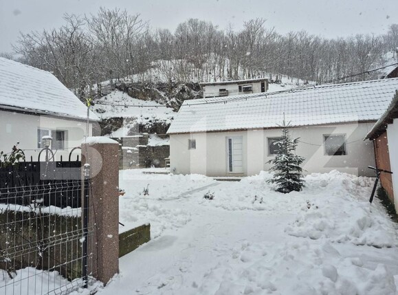 Casa de vânzare 4 camere Vinţu de Jos - 184844CV | BLITZ Alba Iulia | Poza8