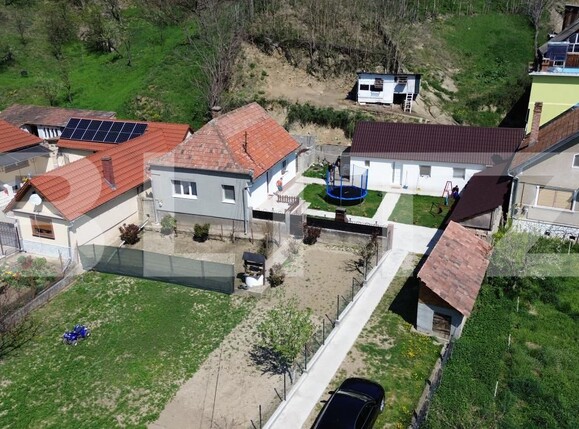 Casa de vânzare 4 camere Vinţu de Jos - 184844CV | BLITZ Alba Iulia | Poza7