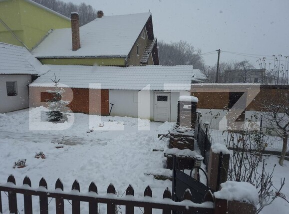 Casa de vânzare 4 camere Vinţu de Jos - 184844CV | BLITZ Alba Iulia | Poza8