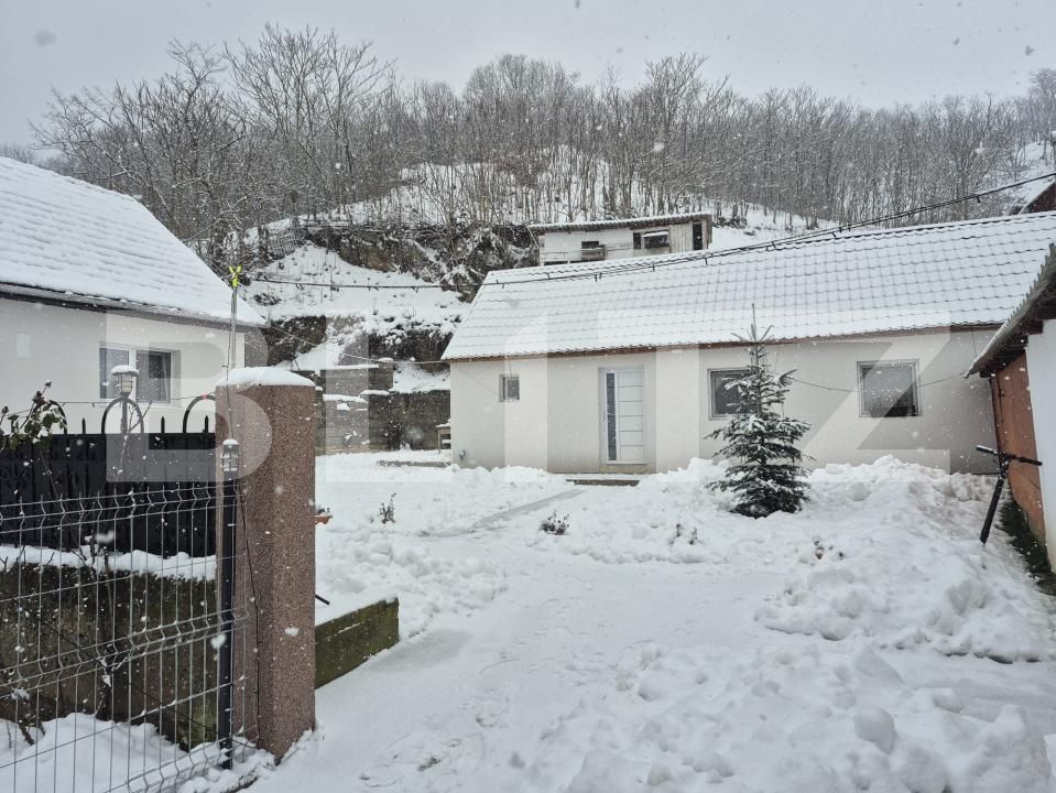 Casa de vânzare 4 camere Vinţu de Jos - 184844CV | BLITZ Alba Iulia | Poza8