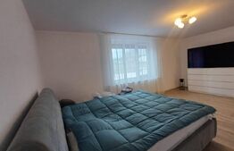 Casa de vanzare mobilata,finisaje premium,zona Excelenta - Teius