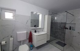 Casa de vanzare mobilata,finisaje premium,zona Excelenta - Teius