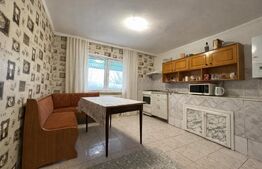 Casă individuală de vânzare, 63 mp utili, zona Barabant