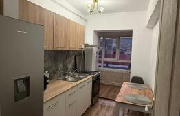 Garsoniera moderna de inchiriat-zona Cetate