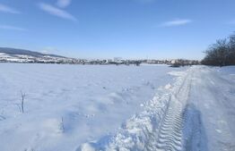 Teren parțial intravilan, 7.000 mp, utilități – ideal hală, zonă Gara