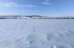 Teren parțial intravilan, 7.000 mp, utilități – ideal hală, zonă Gara