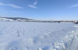 Teren parțial intravilan, 7.000 mp, utilități – ideal hală, zonă Gara