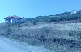 Teren 1000 mp, utilități + autorizație – Schit