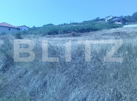 Teren de vânzare Cetate - 185368TV | BLITZ Alba Iulia | Poza3