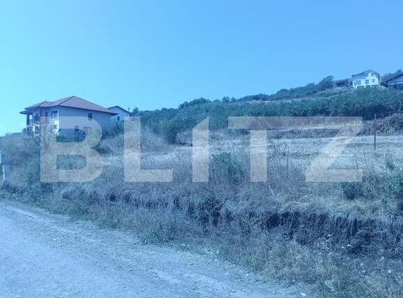 Teren de vânzare Cetate - 185368TV | BLITZ Alba Iulia | Poza1