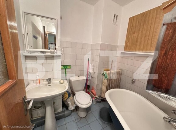 Spațiu comercial de vânzare Ampoi 3 - 185369SVC | BLITZ Alba Iulia | Poza6