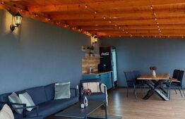 Cabana de vânzare – oportunitate de business / casă de vacanță – Transapuseana