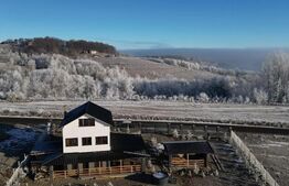 Cabana de vânzare – oportunitate de business / casă de vacanță – Transapuseana