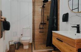 Cabana de vânzare – oportunitate de business / casă de vacanță – Transapuseana