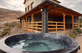 Cabana de vânzare – oportunitate de business / casă de vacanță – Transapuseana