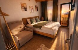 Cabana de vânzare – oportunitate de business / casă de vacanță – Transapuseana