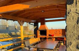 Cabana de vânzare – oportunitate de business / casă de vacanță – Transapuseana