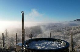 Cabana de vânzare – oportunitate de business / casă de vacanță – Transapuseana