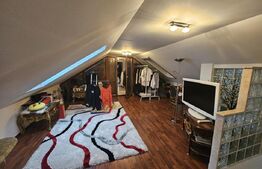 Casă individuală de vânzare, 228 mp, zona Hotel Cetate