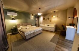 Casă de vânzare, 105 mp, 650 mp teren, zona Cetate - Ultracentrală