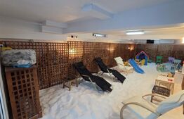 Spațiu comercial 4 niveluri, 240 mp, zona Cetate