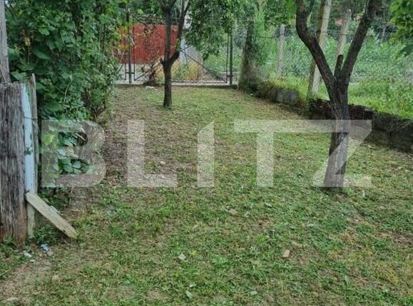 Casa de vânzare 2 camere Ocna Mures - 185873CV | BLITZ Alba Iulia | Poza3