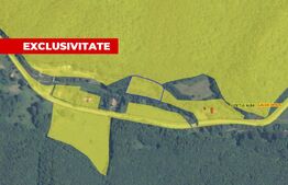 Teren intravilan 5542 mp, 2 CF-uri, Poiana Galdei