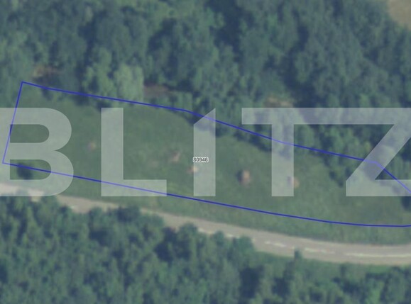 Teren de vânzare Intregalde - 185879TV | BLITZ Alba Iulia | Poza2