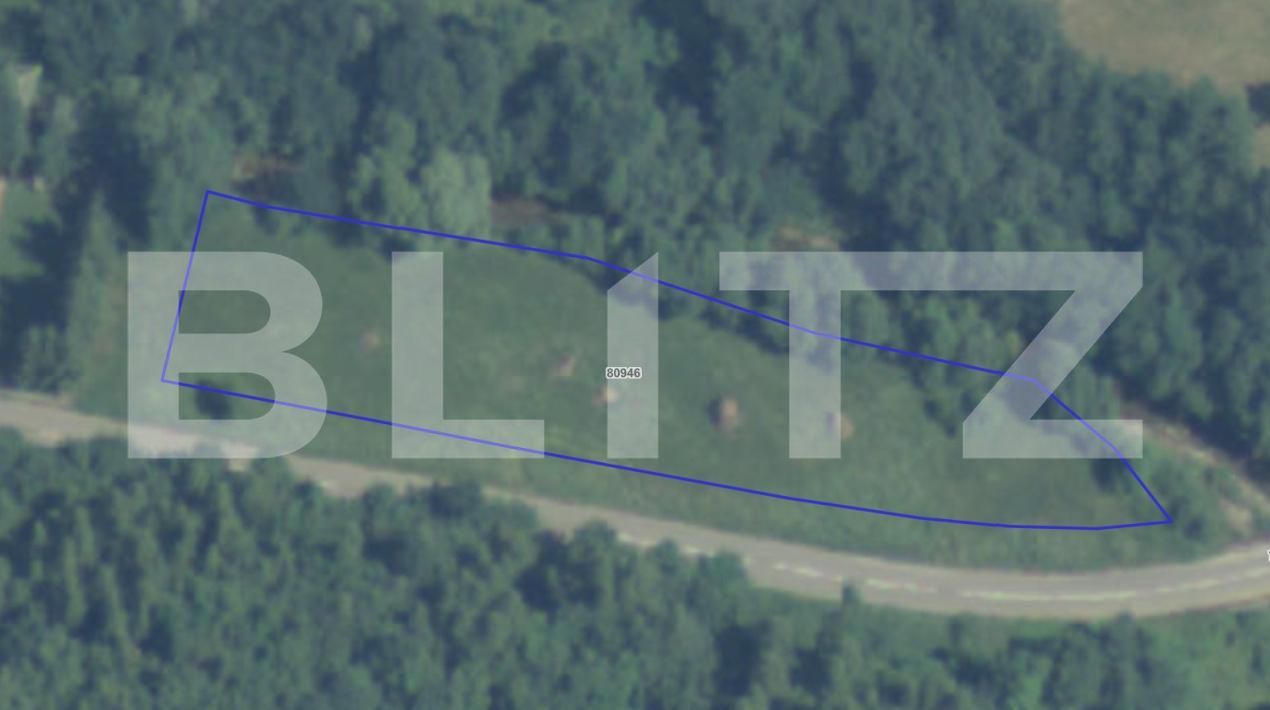 Teren de vânzare Intregalde - 185879TV | BLITZ Alba Iulia | Poza2