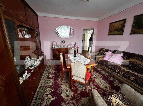 Casa de vânzare 6 camere Ocna Mures - 185883CV | BLITZ Alba Iulia | Poza3