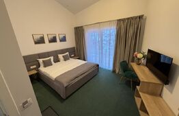 Se oferă pensiune de vânzare Zona Transalpina – Modernă, la cheie