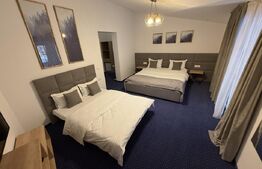 Se oferă pensiune de vânzare Zona Transalpina – Modernă, la cheie