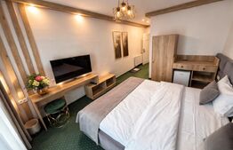 Pensiune modernă de vânzare – Zona Transalpina | Complet utilată