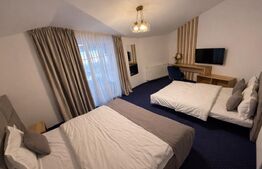 Pensiune modernă de vânzare – Zona Transalpina | Complet utilată