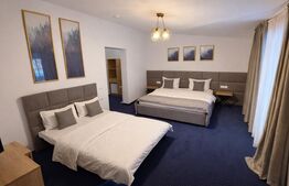 Pensiune modernă de vânzare – Zona Transalpina | Complet utilată