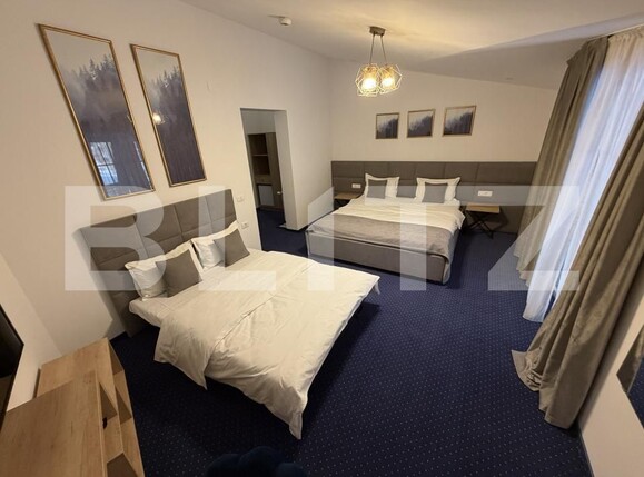 Spațiu comercial de vânzare Sugag - 186061SVC | BLITZ Alba Iulia | Poza10