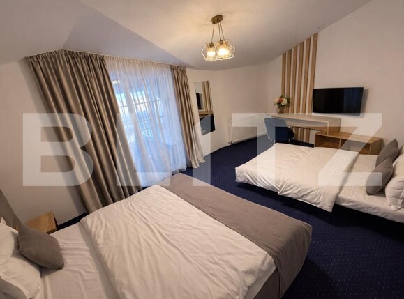 Spațiu comercial de vânzare Sugag - 186061SVC | BLITZ Alba Iulia | Poza8